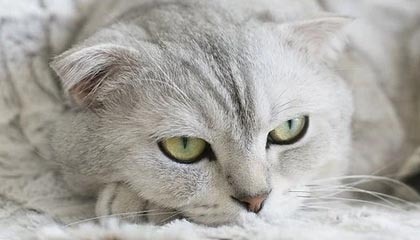 北京丰台：“原拆原建”让老旧小区实现幸福蝶变