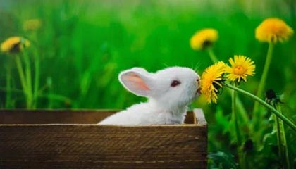 俄传奇飞行员回应：“中国的！中国的！”