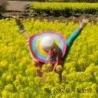 爱会理网丨便民信息20240808