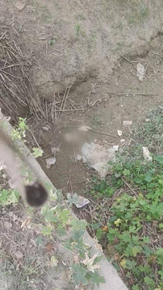 女子跑步时意外发现沟渠内有头骨，曹县警方：疑因下雨从上游坟墓冲下来，正进一步调查