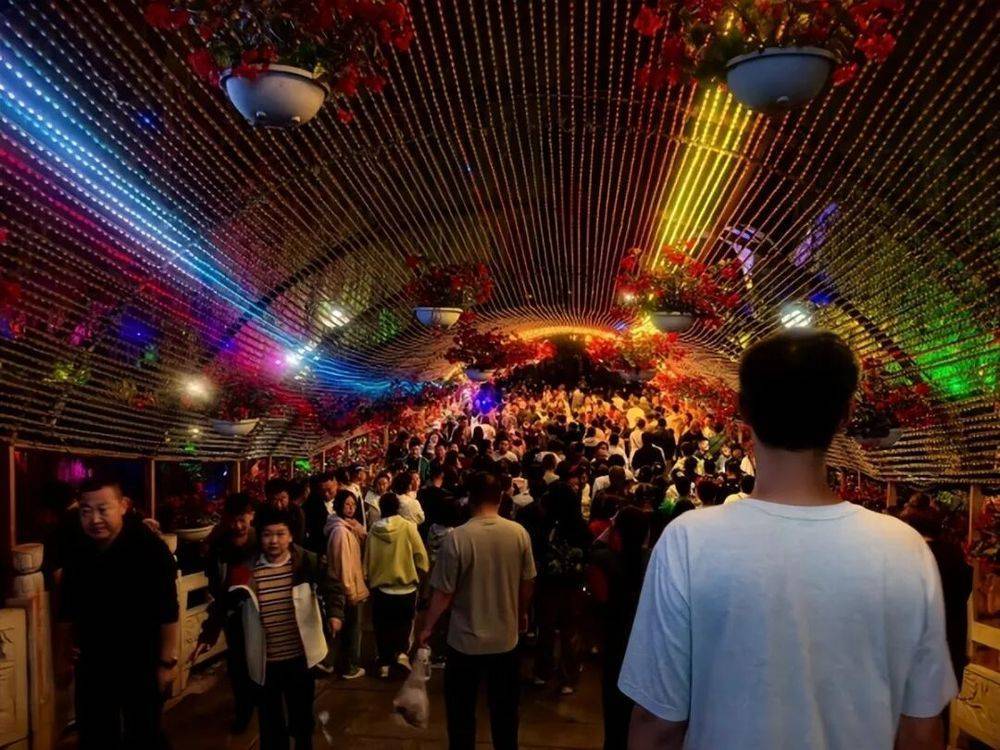 1336万人次！吉林太火了！