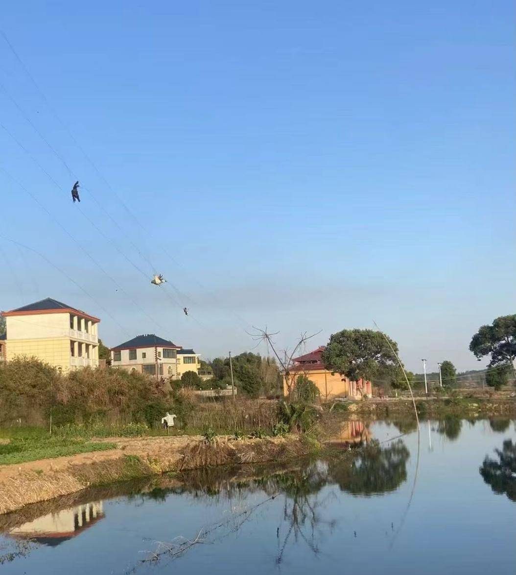 放弃照顾奶奶 失业的孙女发帖获4万点赞