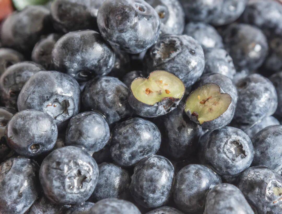 蓝莓价格大跳水！不少人成桶买！提醒：千万别狂炫