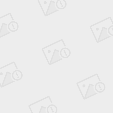 艾达币交易所交易平台的简单介绍