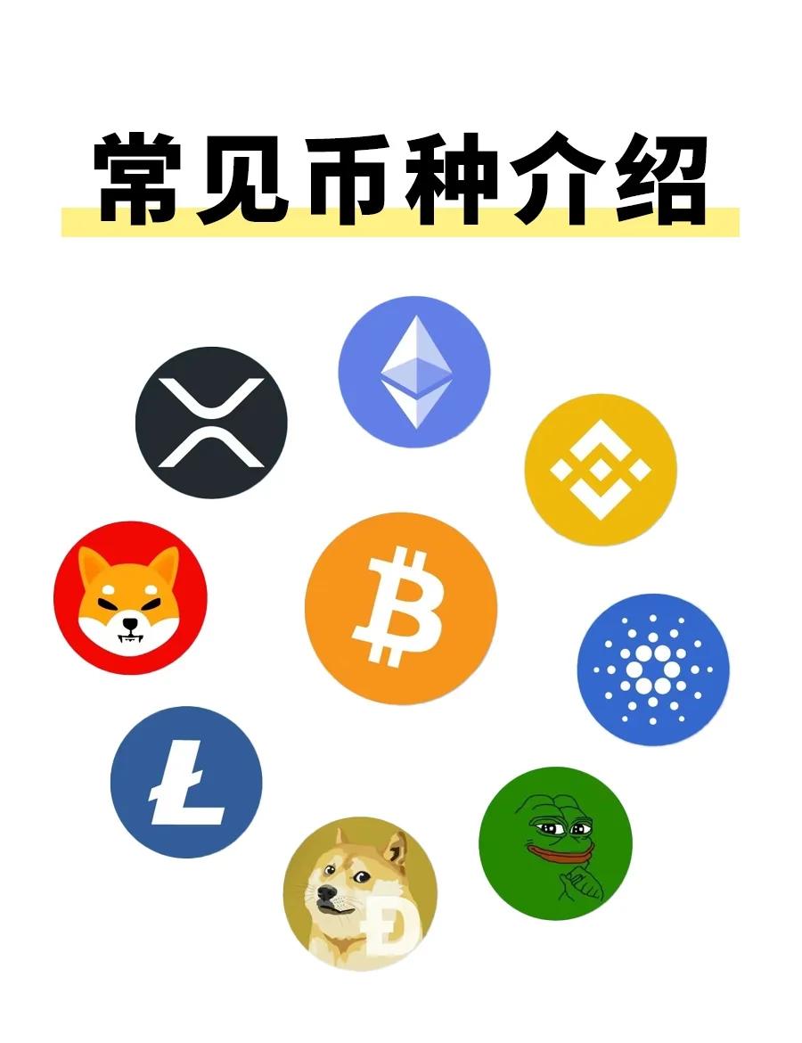 包含XRP-瑞波币app的词条 包含XRP-瑞波币app的词条