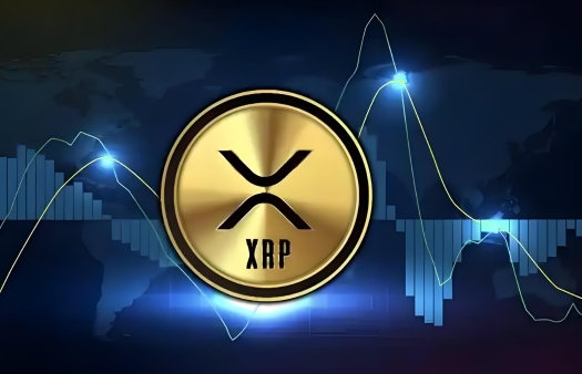 XRP交易所投资(xrp币价格金色财经)