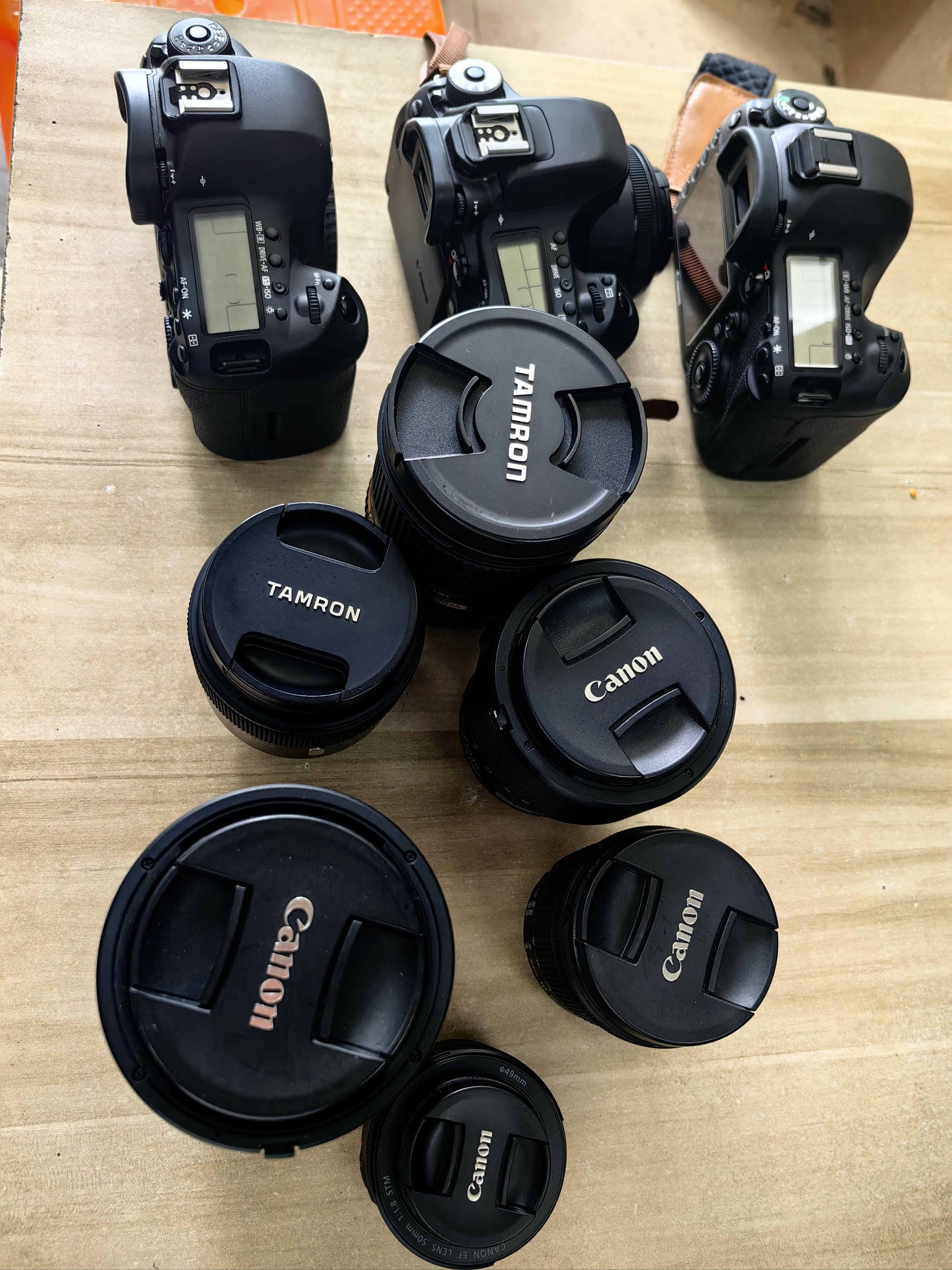 LTCapp(ltcat爱发电)